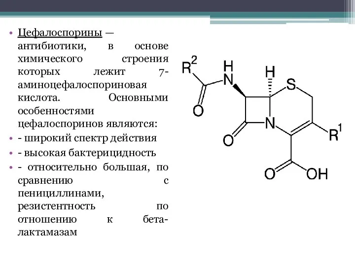 Цефалоспорины — антибиотики, в основе химического строения которых лежит 7-аминоцефалоспориновая кислота. Основными