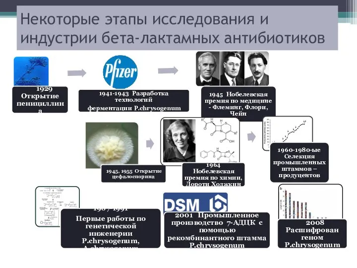 Некоторые этапы исследования и индустрии бета-лактамных антибиотиков