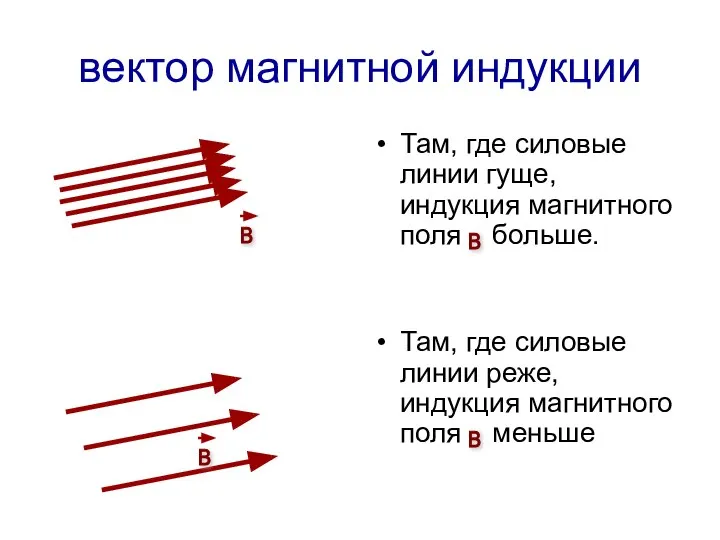 вектор магнитной индукции Там, где силовые линии гуще, индукция магнитного поля больше.