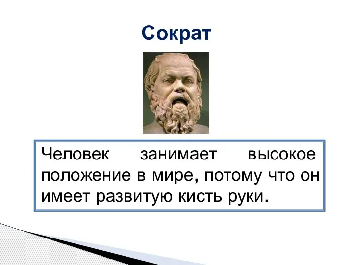 Сократ Человек занимает высокое положение в мире, потому что он имеет развитую кисть руки.