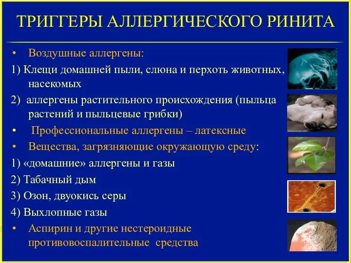 ТРИГГЕРЫ АЛЛЕРГИЧЕСКОГО РИНИТА Воздушные аллергены: 1) Клещи домашней пыли, слюна и перхоть