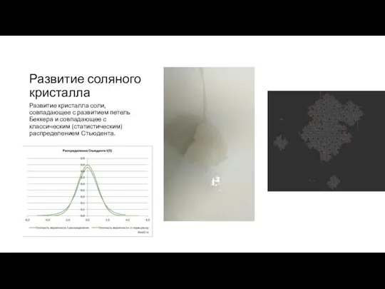 Развитие соляного кристалла Развитие кристалла соли, совпадающее с развитием петель Беккера и