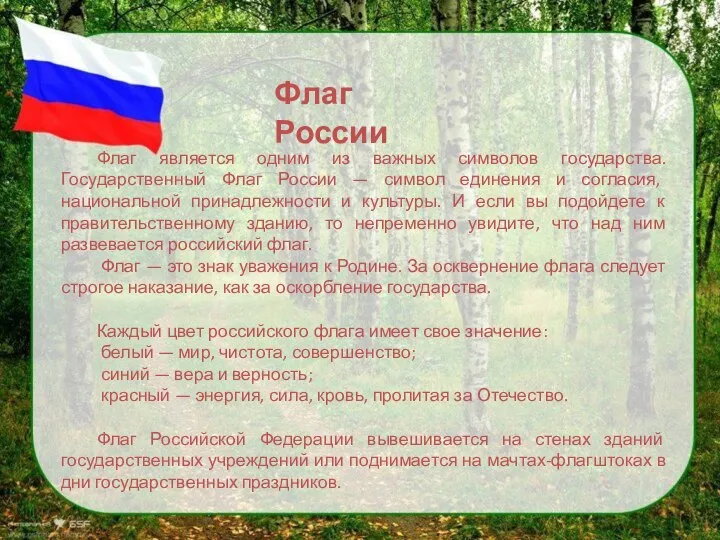 Флаг является одним из важных символов государства. Государственный Флаг России — символ