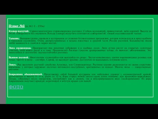 Пункт №2 (п. №1-2 – 270м) Клевер ползучий. Сорное многолетнее стержнекорневое растение.