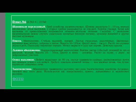 Пункт №4 (п №3-4 – 210м) Шампиньон перелесковый. Гриб семейства шампиньоновых. Шляпка