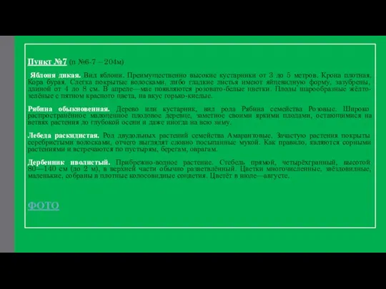 Пункт №7 (п №6-7 – 204м) Яблоня дикая. Вид яблони. Преимущественно высокие