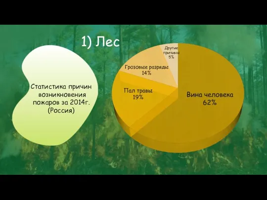 Другие причины 5% Грозовые разряды 14% 1) Лес Статистика причин возникновения пожаров за 2014г. (Россия)