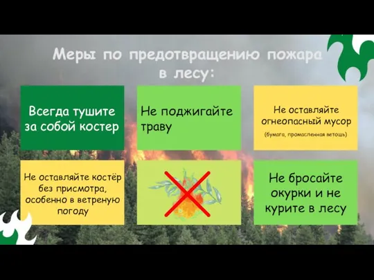 Меры по предотвращению пожара в лесу: Всегда тушите за собой костер Не