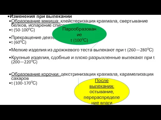 Изменения при выпекании Образование мякиша: клейстеризация крахмала, свертывание белков, испарение спирта t