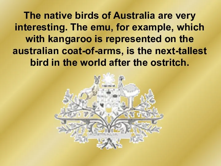 The native birds of Australia are very interesting. The emu, for example,