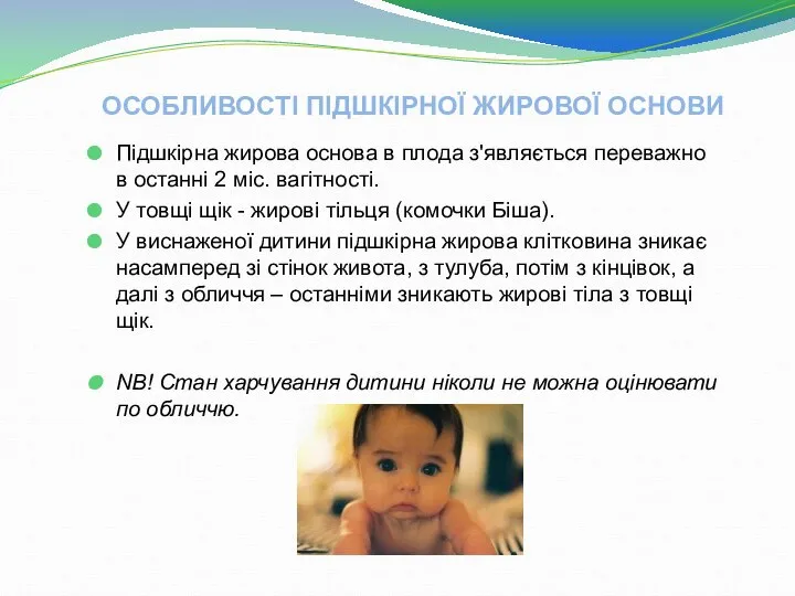 ОСОБЛИВОСТІ ПІДШКІРНОЇ ЖИРОВОЇ ОСНОВИ Підшкірна жирова основа в плода з'являється переважно в