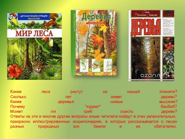 Какие леса растут на нашей планете? Сколько лет живет дерево? Какие деревья