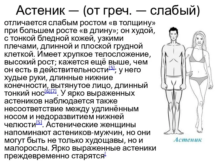 Астеник — (от греч. — слабый) отличается слабым ростом «в толщину» при