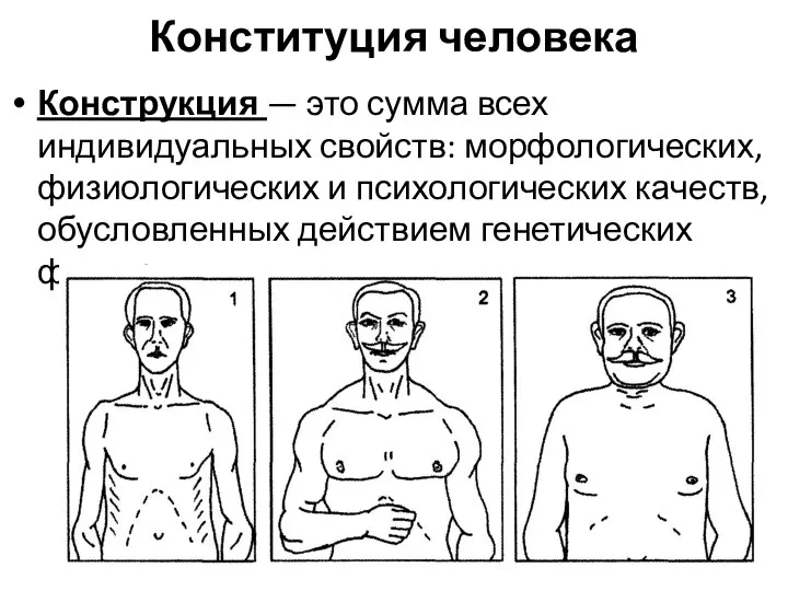 Конституция человека Конструкция — это сумма всех индивидуальных свойств: морфологических, физиологических и