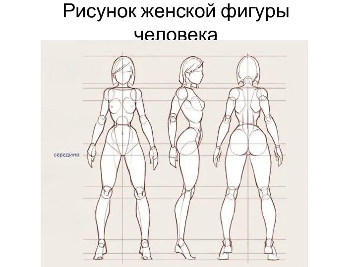 Рисунок женской фигуры человека