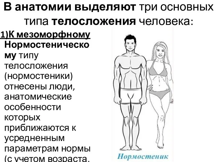В анатомии выделяют три основных типа телосложения человека: 1)К мезоморфному Нормостеническому типу