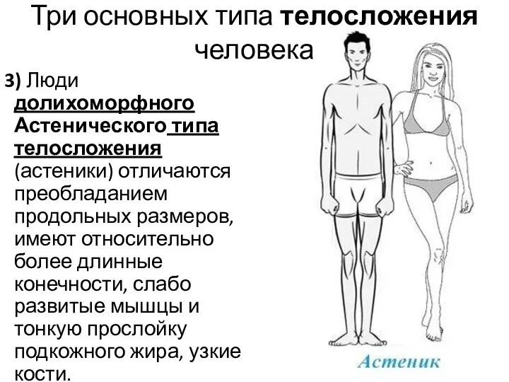 Три основных типа телосложения человека 3) Люди долихоморфного Астенического типа телосложения (астеники)