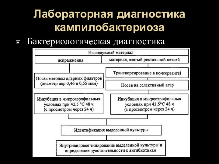 Лабораторная диагностика кампилобактериоза Бактериологическая диагностика