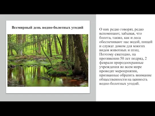 О них редко говорят, редко вспоминают, забывая, что болота, также, как и