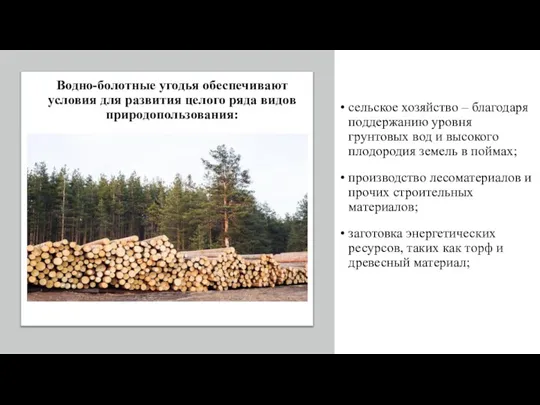 сельское хозяйство – благодаря поддержанию уровня грунтовых вод и высокого плодородия земель