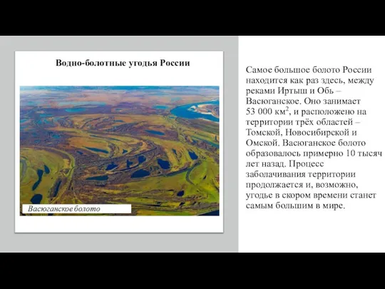 Самое большое болото России находится как раз здесь, между реками Иртыш и