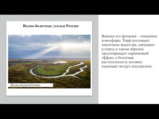 Важная его функция – очищение атмосферы. Торф поглощает токсичные вещества, связывает углерод