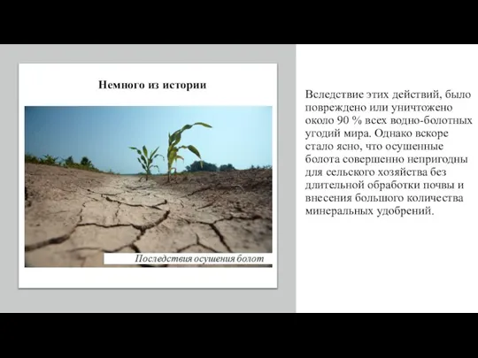 Вследствие этих действий, было повреждено или уничтожено около 90 % всех водно-болотных