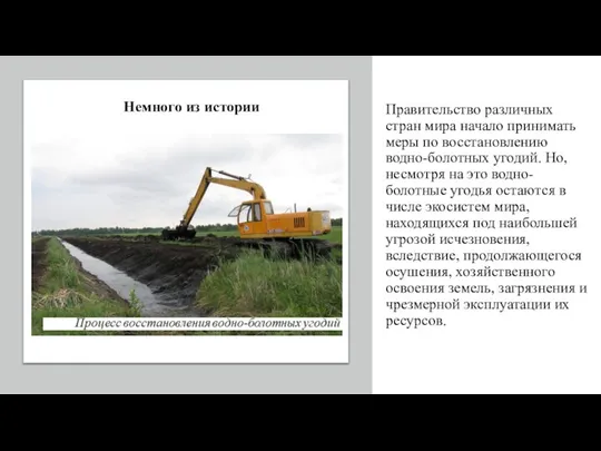 Правительство различных стран мира начало принимать меры по восстановлению водно-болотных угодий. Но,