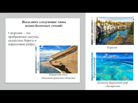 Куршская коса, Калининградская область • морские – это прибрежные лагуны, скалистые берега