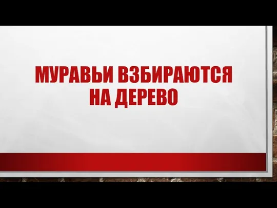 МУРАВЬИ ВЗБИРАЮТСЯ НА ДЕРЕВО