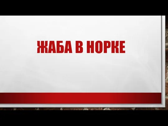 ЖАБА В НОРКЕ