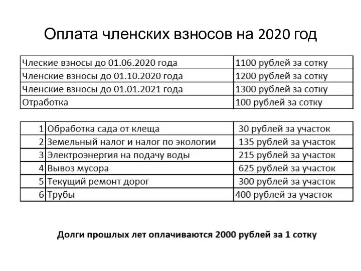 Оплата членских взносов на 2020 год