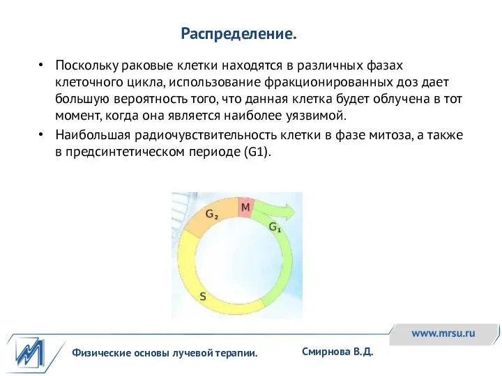 Физические основы лучевой терапии. Смирнова В.Д. Поскольку раковые клетки находятся в различных