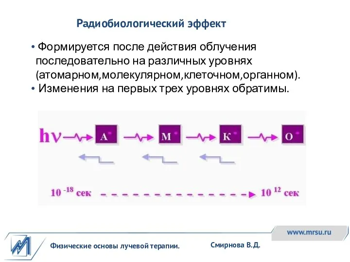 Физические основы лучевой терапии. Смирнова В.Д. Формируется после действия облучения последовательно на