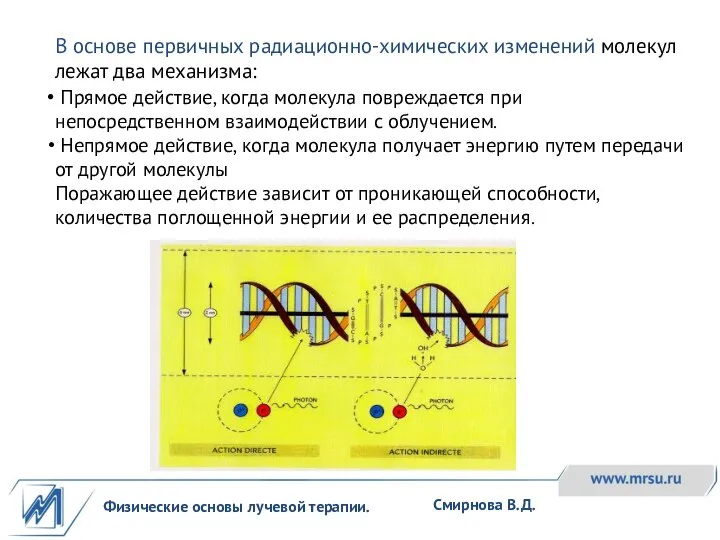 Физические основы лучевой терапии. Смирнова В.Д. В основе первичных радиационно-химических изменений молекул