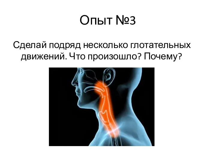 Опыт №3 Сделай подряд несколько глотательных движений. Что произошло? Почему?