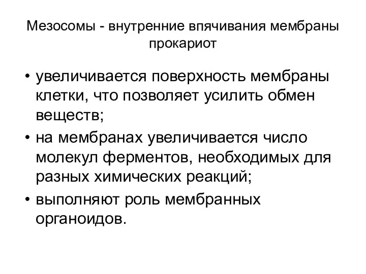 Мезосомы - внутренние впячивания мембраны прокариот увеличивается поверхность мембраны клетки, что позволяет