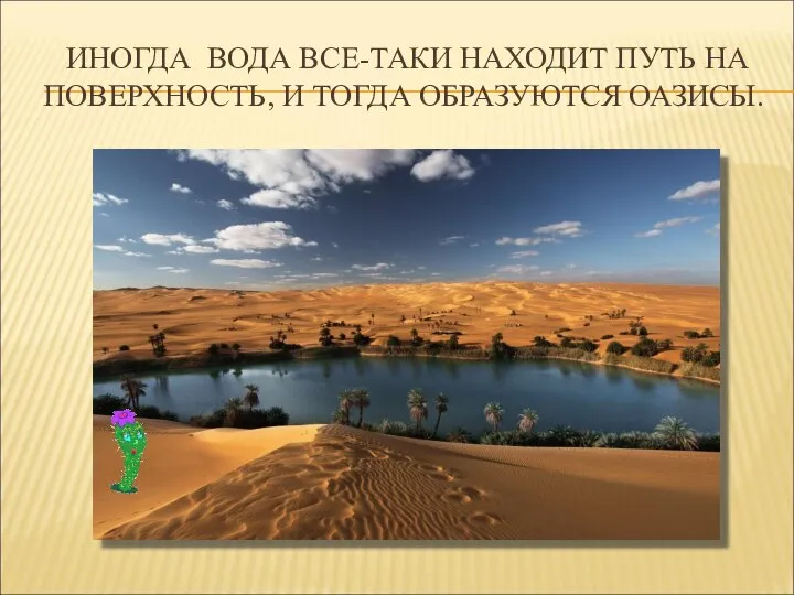 ИНОГДА ВОДА ВСЕ-ТАКИ НАХОДИТ ПУТЬ НА ПОВЕРХНОСТЬ, И ТОГДА ОБРАЗУЮТСЯ ОАЗИСЫ.