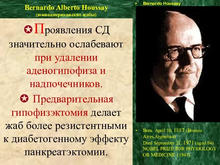 Bernardo Alberto Houssay (южноамериканские жабы) Bernardo Houssay Born April 10, 1887 (Buenos