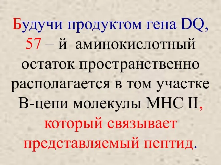 Будучи продуктом гена DQ, 57 – й аминокислотный остаток пространственно располагается в