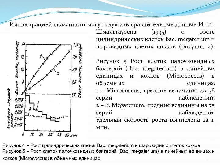 Иллюстрацией сказанного могут служить сравнительные данные И. И. Шмальгаузена (1935) о росте