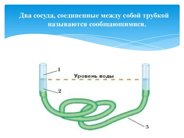 Два сосуда, соединенные между собой трубкой называются сообщающимися.