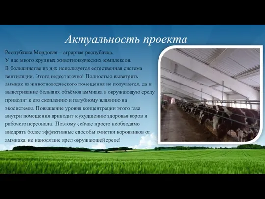 Актуальность проекта Республика Мордовия – аграрная республика. У нас много крупных животноводческих