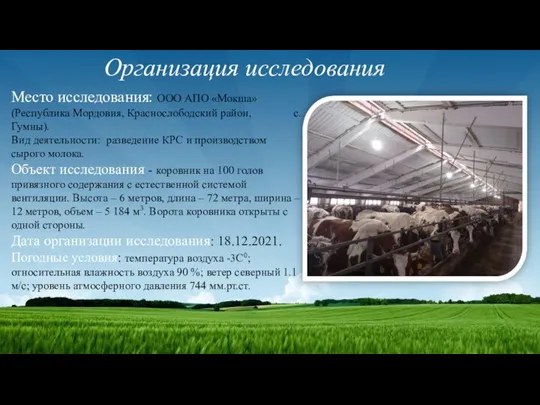 Организация исследования Место исследования: ООО АПО «Мокша» (Республика Мордовия, Краснослободский район, с.