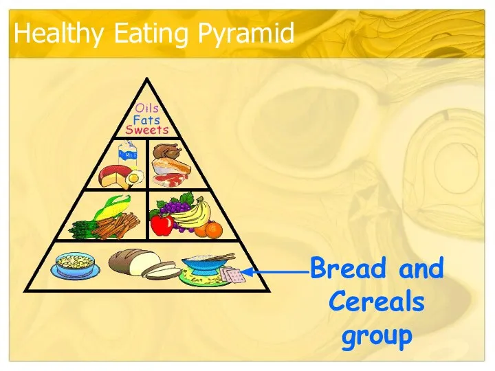 Healthy Eating Pyramid Bread and Cereals group