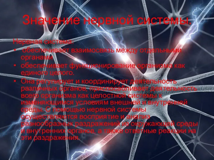 Значение нервной системы. Нервная система: обеспечивает взаимосвязь между отдельными органами обеспечивает функционирование