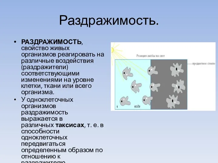 Раздражимость. РАЗДРАЖИМОСТЬ, свойство живых организмов реагировать на различные воздействия (раздражители) соответствующими изменениями