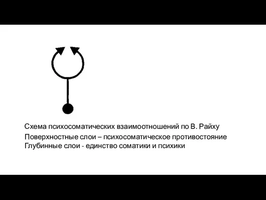 Схема психосоматических взаимоотношений по В. Райху Поверхностные слои – психосоматическое противостояние Глубинные