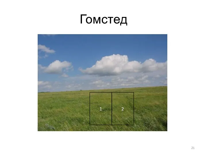 Гомстед 1 2