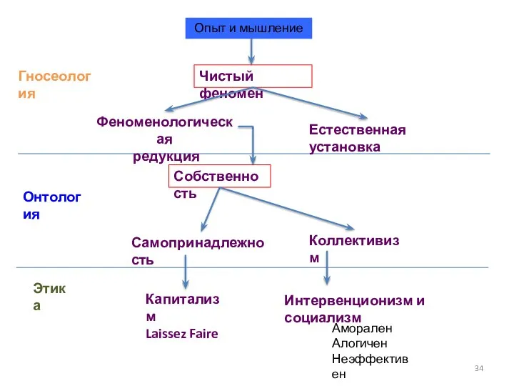 Чистый феномен Гносеология Опыт и мышление Феноменологическая редукция Естественная установка Собственность Самопринадлежность